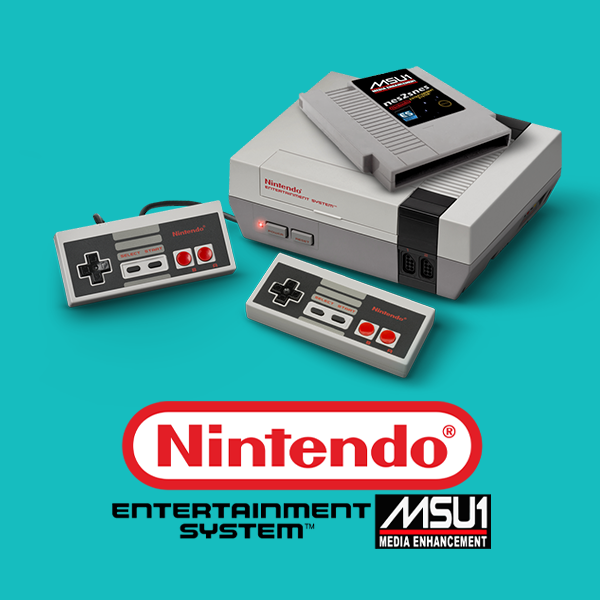 nes-msu